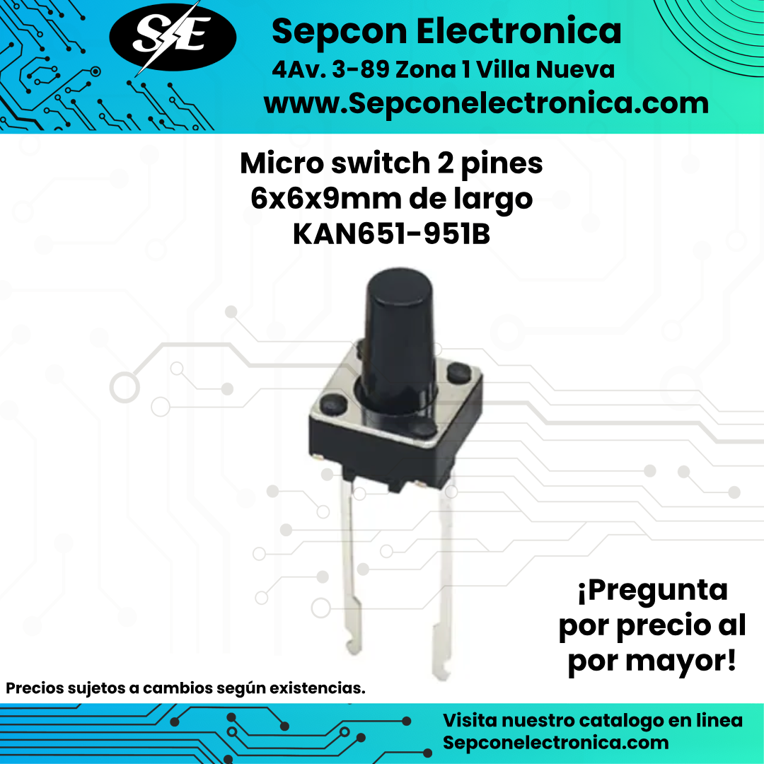 Micro switch 2 pines  6x6x9mm de largo KAN651-951B