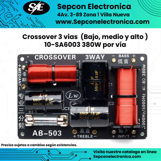 Crossover pasivo 3 vías (Bajo, medio y alto)  10-SA6003 380W por vía